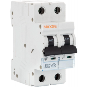 MAGNETOTERMICO 2 POLOS
