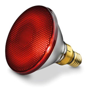 INFRARROJOS ROJA 100 W PHILIPS R-38 (N) REF: PHI-38R100