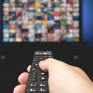MANDO T.V. UNIVERSAL y PUERTA DE GARAJE