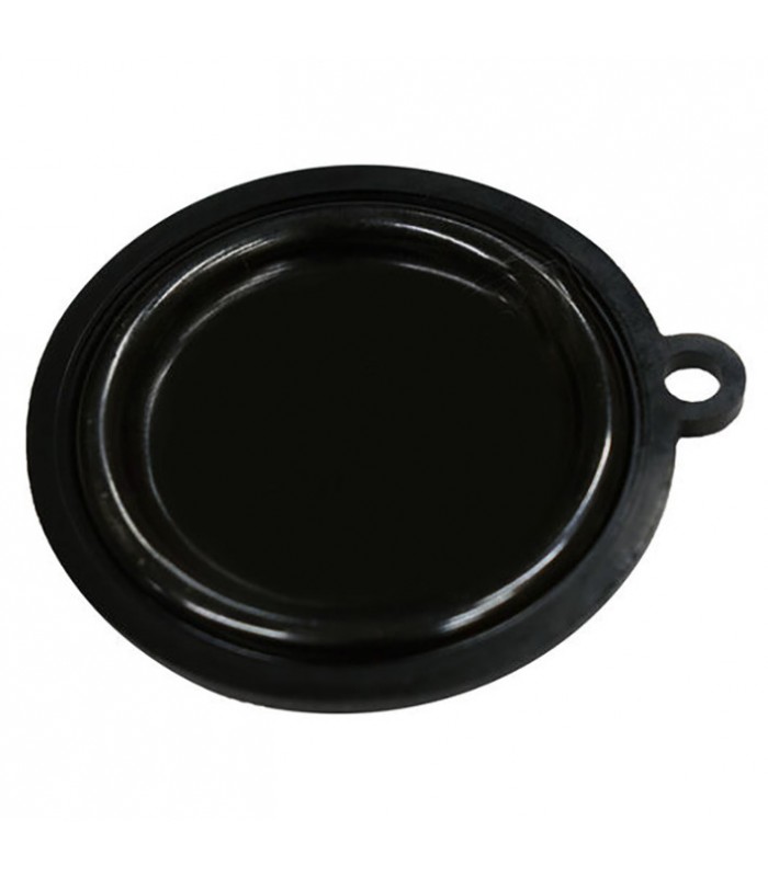 DIM-6018 MEMBRANA CALENTADOR COINTRA 10L. 18CO00